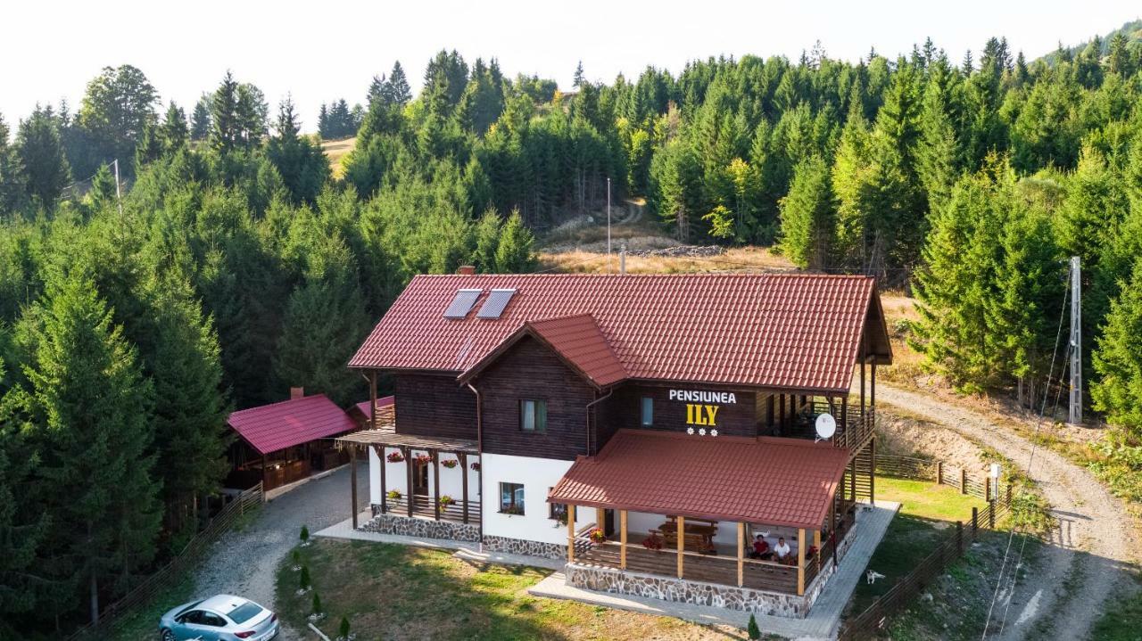Pensiunea Ily Colibiţa Buitenkant foto
