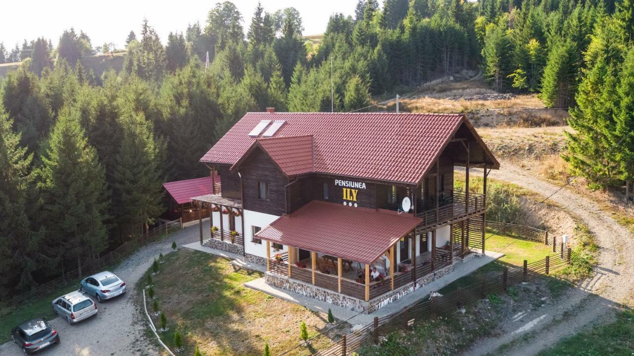 Pensiunea Ily Colibiţa Buitenkant foto